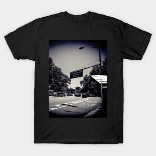 Prospect Park, Brooklyn, New York City T-Shirt